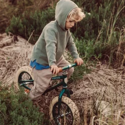 Bicicleta First Go: Verde
