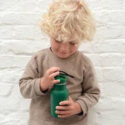 Botella Flamenco 350 Ml