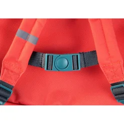 Cartera Alice India