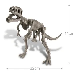 Dino Kit Tyrannosaurus Rex
