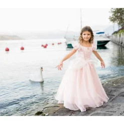 Disfraz Princesa Rosa 3-4 Años