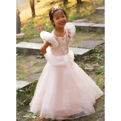 Disfraz Princesa Rosa 3-4 Años