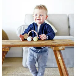 Happy Baby: Tortuga Turbo