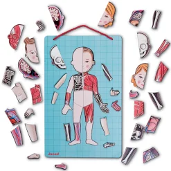 Juego De Anatomia: Bodymagnet