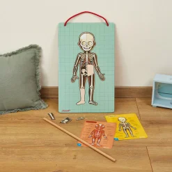 Juego De Anatomia: Bodymagnet