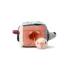 Louis Lobo Cubo De Descubrimientos