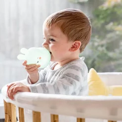 Luz De Compania Little Bunny Rosa
