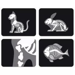 Maletin De Veterinario